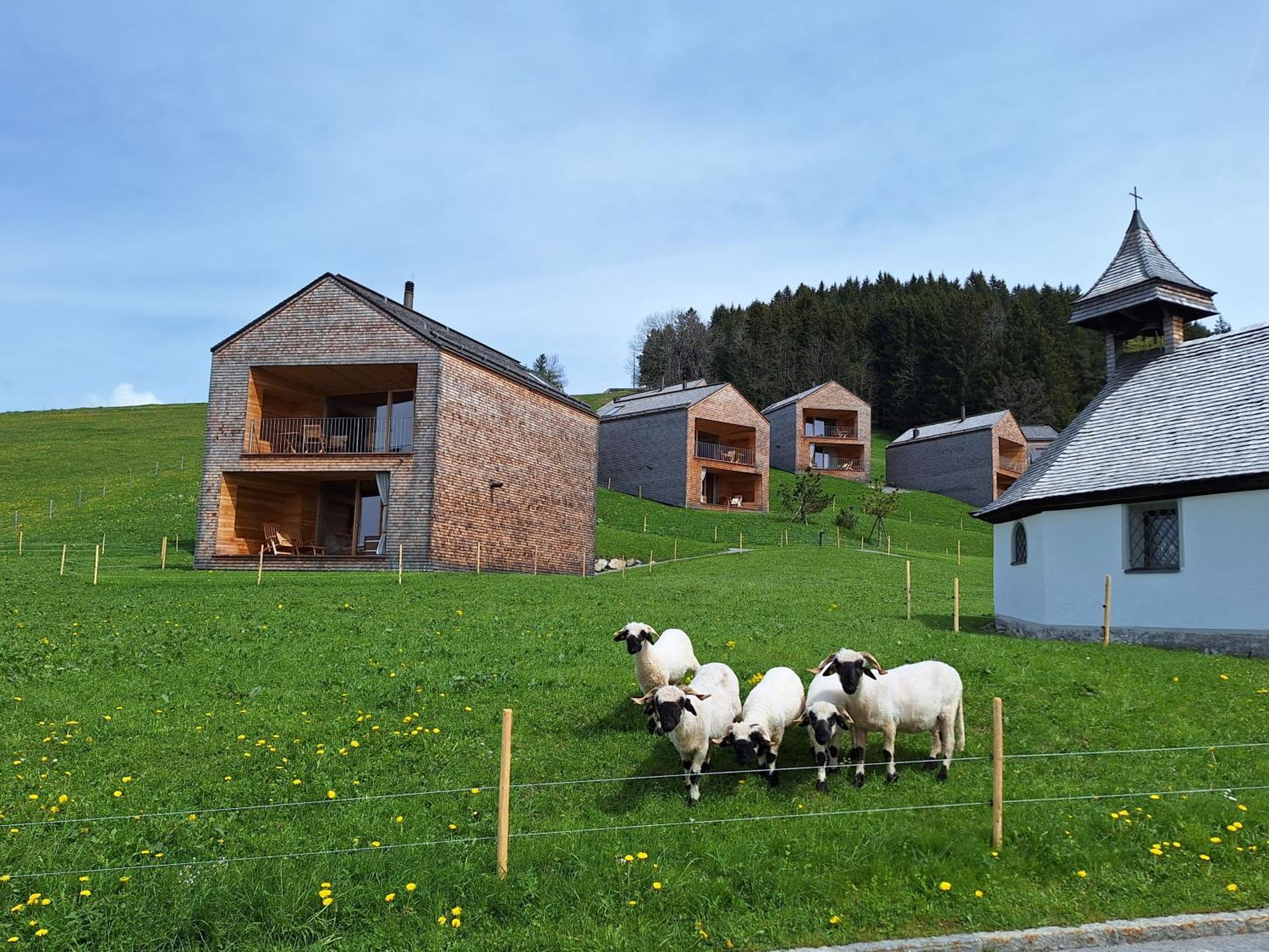 Apartment Rheintal Im Alpenvorland Batschuns Exteriér fotografie