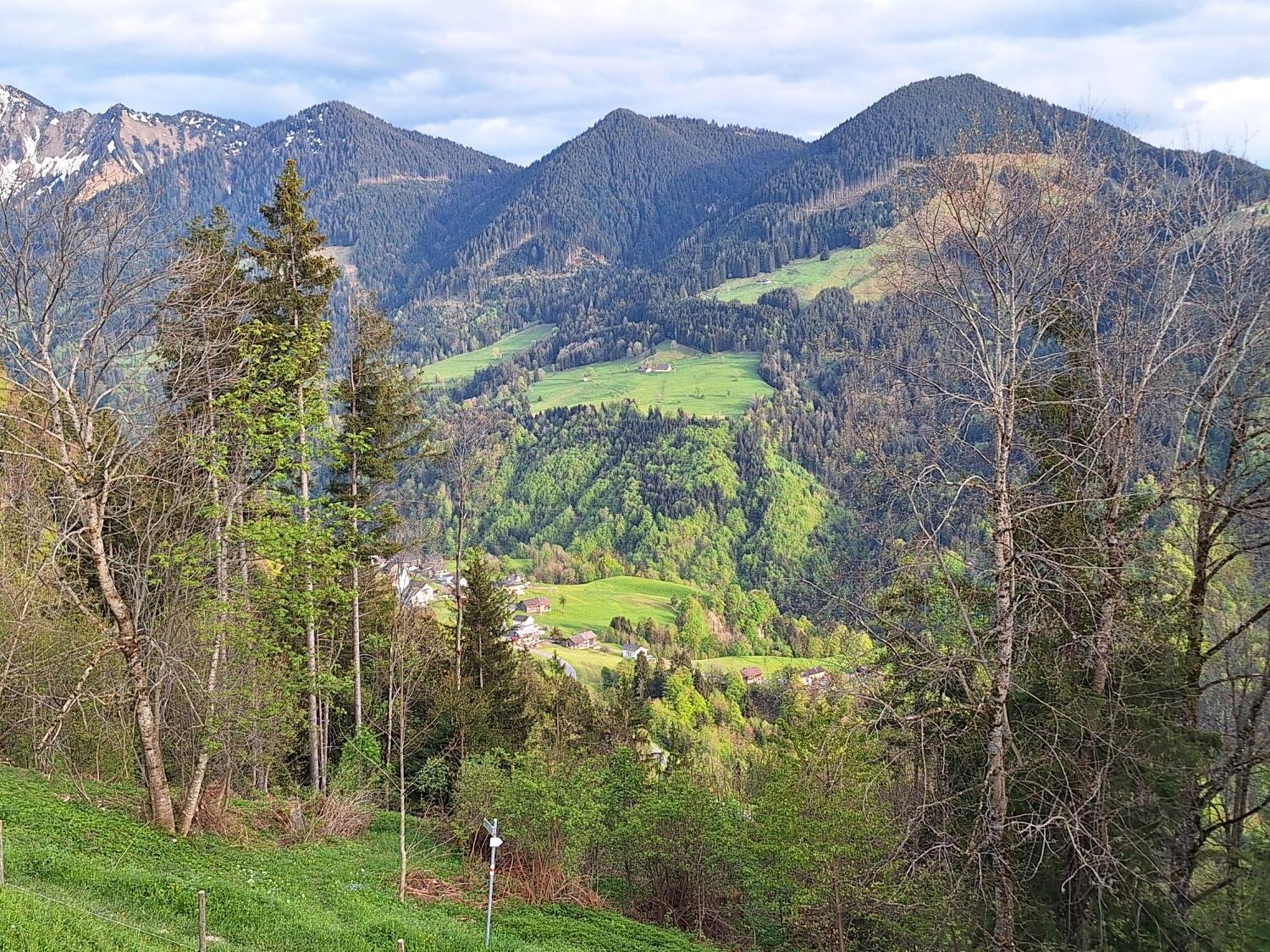 Apartment Rheintal Im Alpenvorland Batschuns Exteriér fotografie
